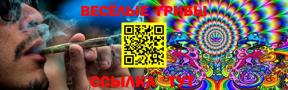 Галлюциногенные грибы ЛСД Родники