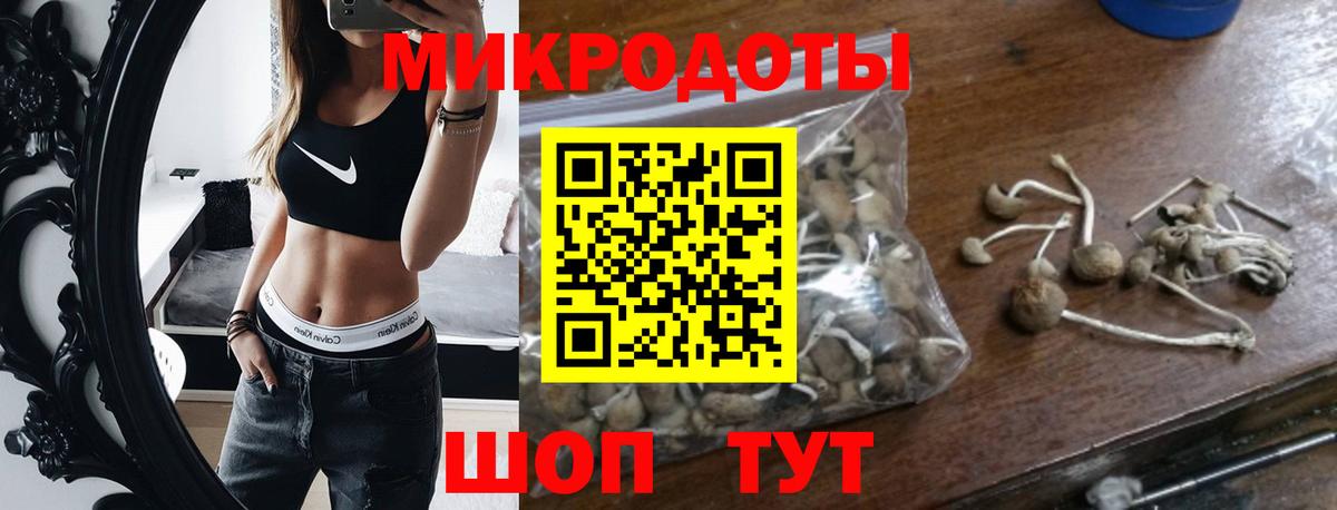 Галлюциногенные грибы GOLDEN TEACHER  Вход с VPN  Родники  Галлюциногенные грибы мухоморы 